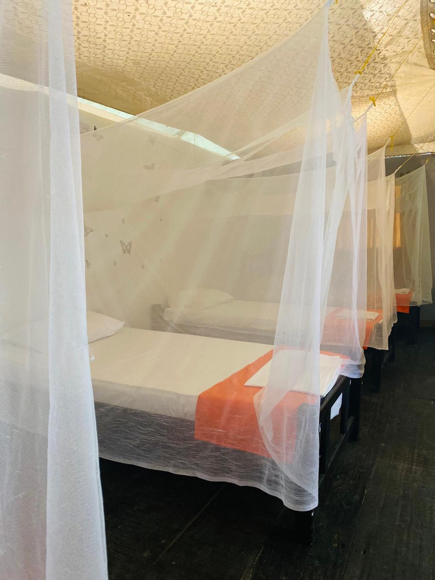 Wayanay Tayrona Eco HostZaino Eksteriør billede